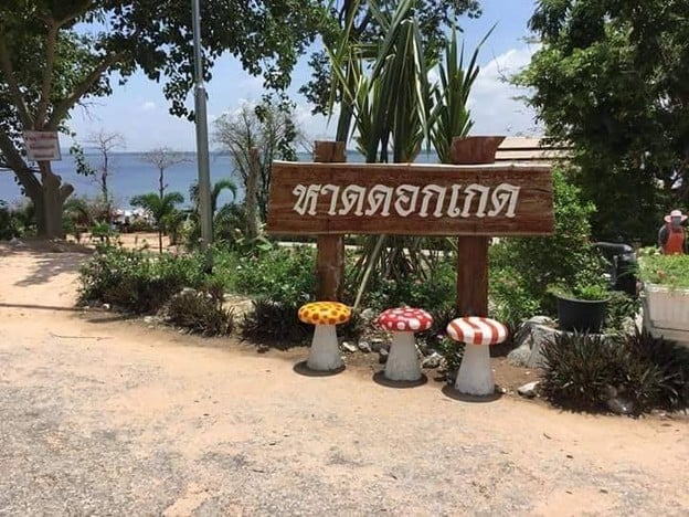 หาดดอกเกด