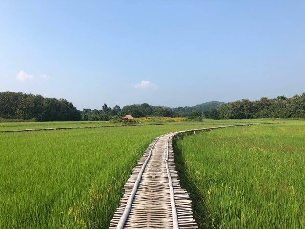 บรรยากาศ บ้านนาต้นจั่น