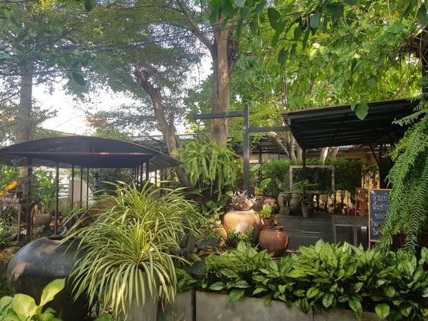 บรรยากาศ Café du Coq by Baan Peeraka ร่มเกล้า