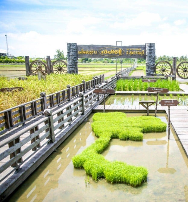 บรรยากาศ ศูนย์เรียนรู้วิถีชีวิตและจิตวิญญาณชาวนาไทย - นาเฮียใช้