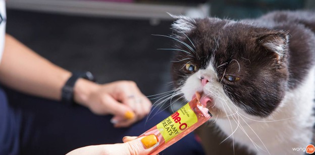 บรรยากาศ HOC Beverage Bar อาหารคลีน Clean Food ถนนสุทธิสารวินิจฉัย