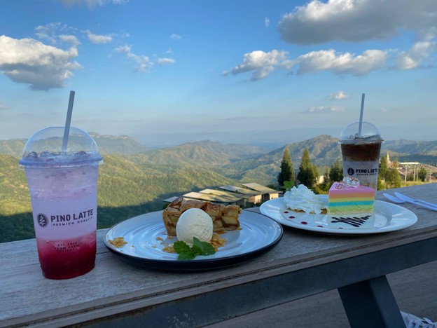 Pino Latte Resort & Cafe