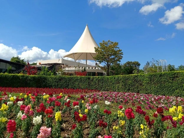 บรรยากาศ The Bloom By TV Pool