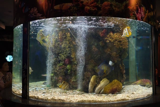 สถานแสดงพันธุ์สัตว์น้ำระยอง