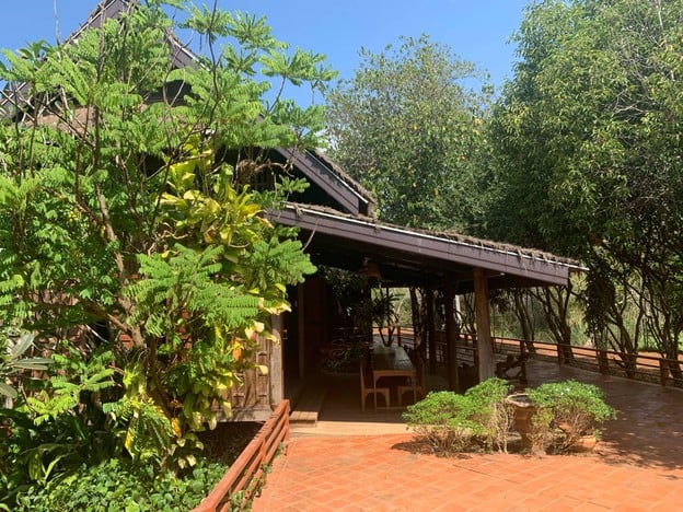 ควายคะนอง