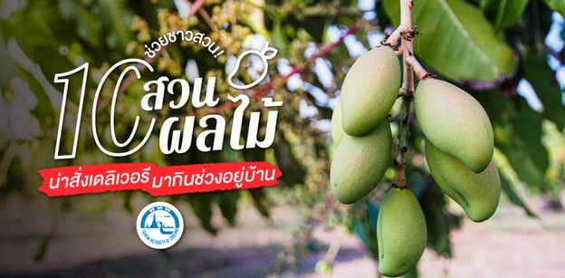 10 สวนผลไม้ น่าสั่งเดลิเวอรีมากินช่วงอยู่บ้าน อุดหนุนชาวสวน!