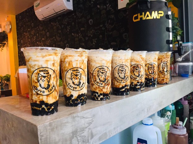 เมนูของร้าน Catto Cafe'  ป่าตอง