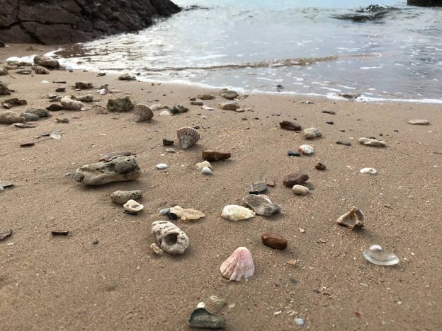 บ้านชมทะเล