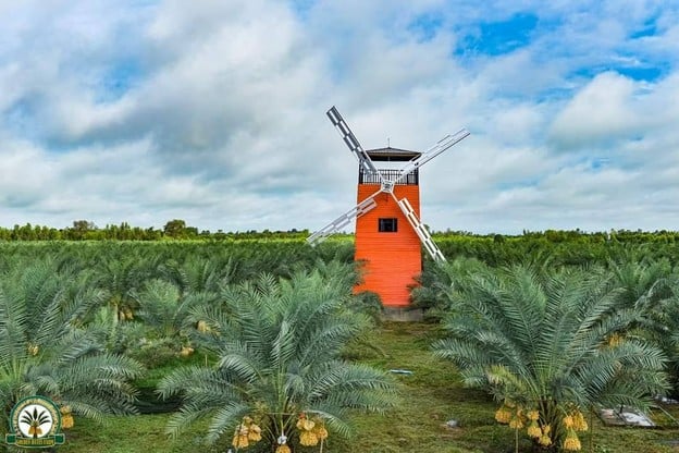 สวนทุ่งทองคำ อินทผลัมทุ่งกุลา ร้อยเอ็ด