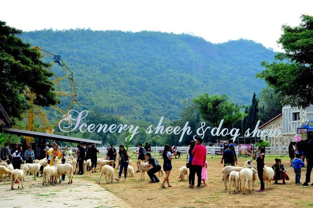 The Scenery Vintage Farm
