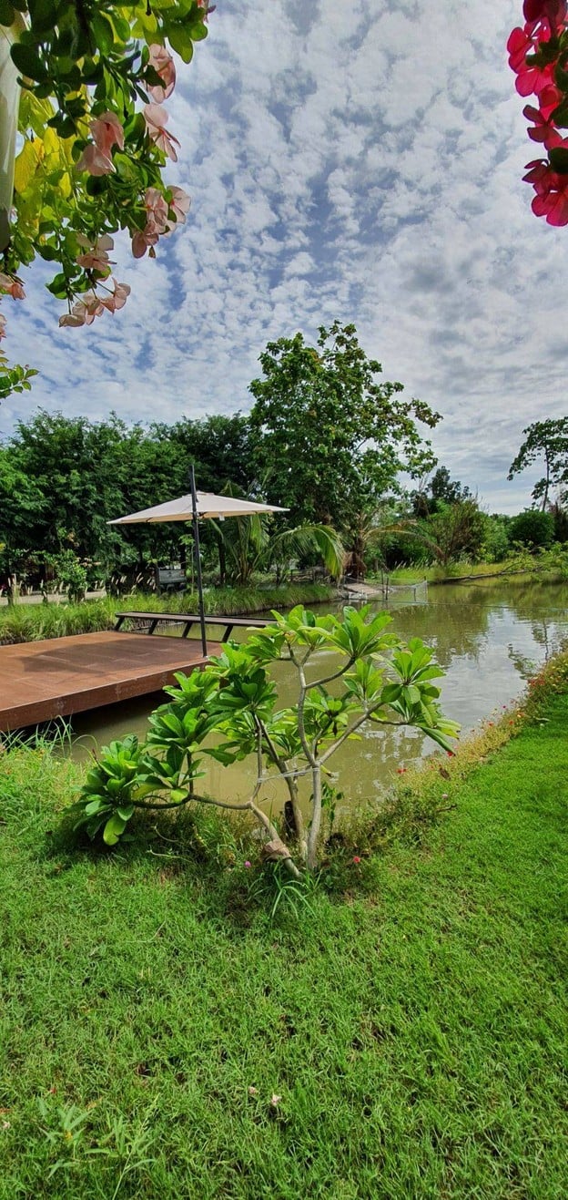 บ้านสวนผักยิ้ม