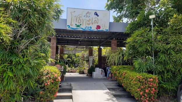 หน้าร้าน โพธิ์ทะเลบางปู