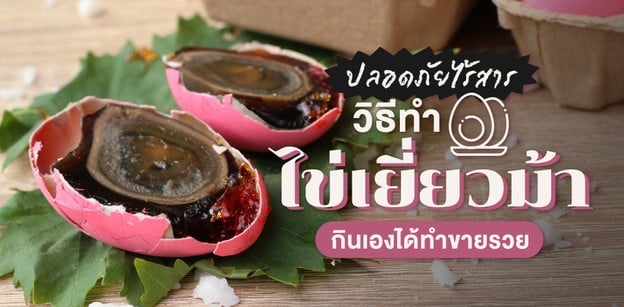  วิธีทำ “ไข่เยี่ยวม้า” กินเองได้ทำขายรวย ปลอดภัยไร้สาร!
