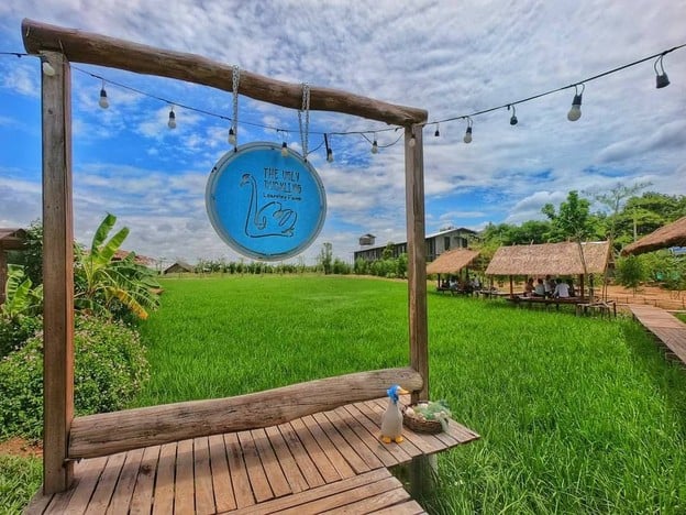 The Ugly Duckling Learning Farm