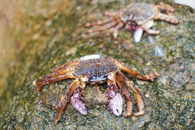 บรรยากาศ เกาะไข่ใน