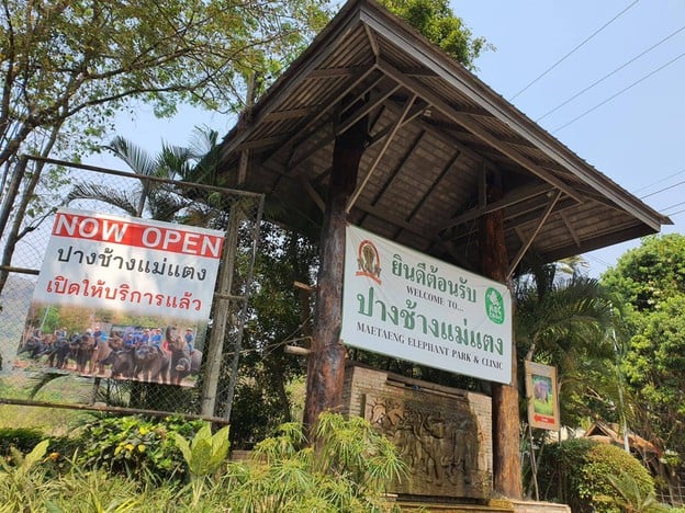 ปางช้างแม่แตง