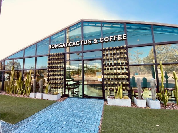 Romsai Cactus & Coffee
