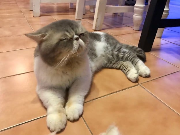 บรรยากาศ Grandpa's Café -