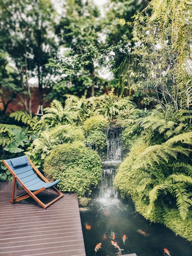 Forestpresso - ฟอเรสท์เพรสโซ่