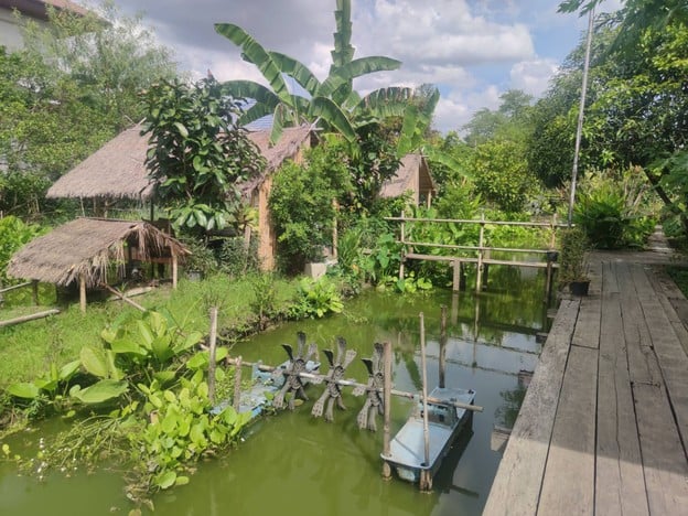 บรรยากาศ The Three Little Pigs Organic Farm & Cafe