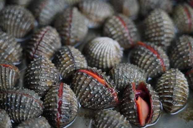 เมนูของร้าน 9 กุ้งอบ ปูอบ-สุกี้ พุทธมณฑล สาย2 (ได้รับมาตรฐาน SHA)