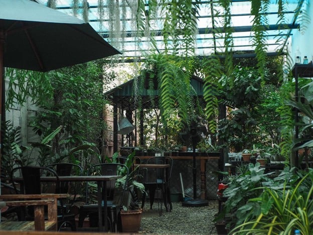 VECTOR กราสเฮาส์