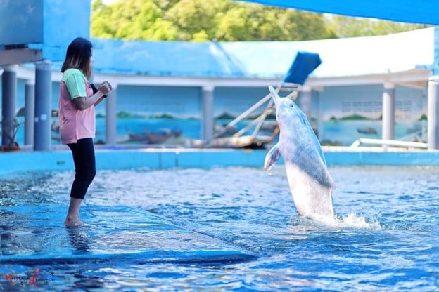 Oasis Sea World