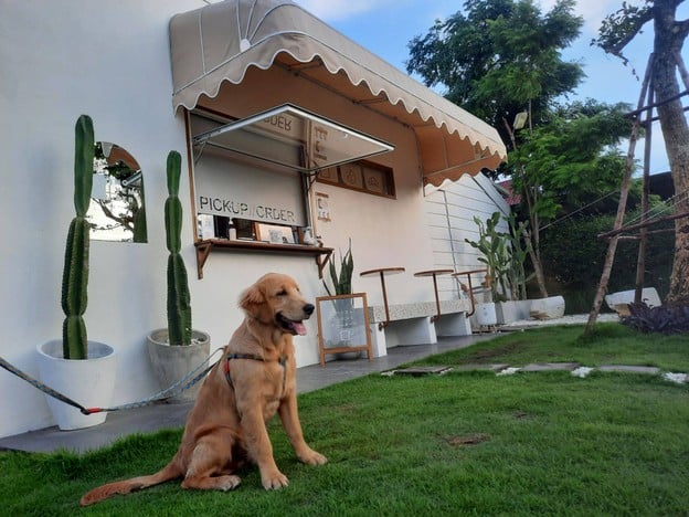 November Homemade Bakery and Coffee -