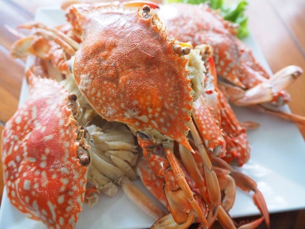 ดิเมาท์เทน คาร์เฟ่&เรสเตอรองท์