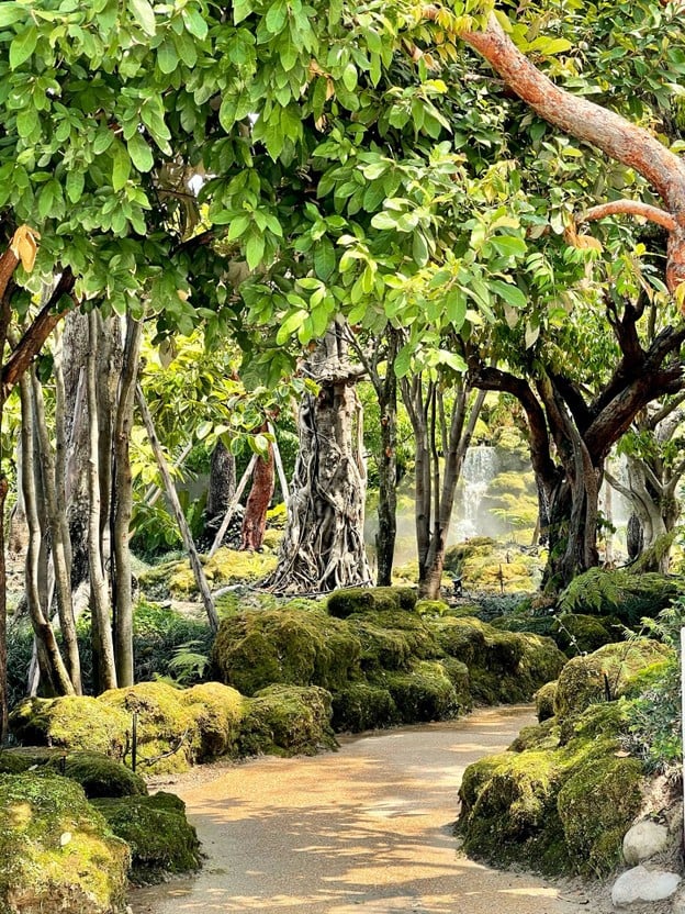 วอนนภา คาเฟ่