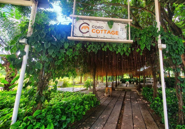 Coro Field