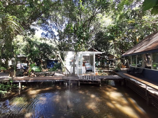 กลางป่า Homemade