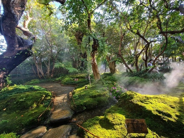 CHOM Cafe & Restaurant