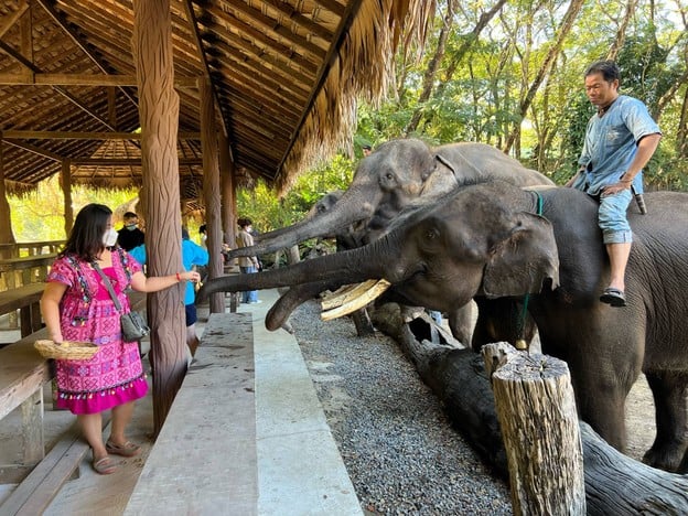 ปางช้างแม่ตะมาน