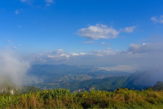 อุทยานแห่งชาติภูชี้ฟ้า