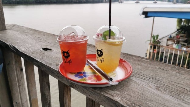 Red Cat Cafe ฉะเชิงเทรา