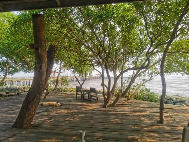 บรรยากาศ บ้านแม่คูซีน
