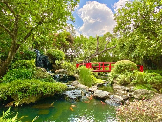 Nekoemon Cafe Chiang Mai