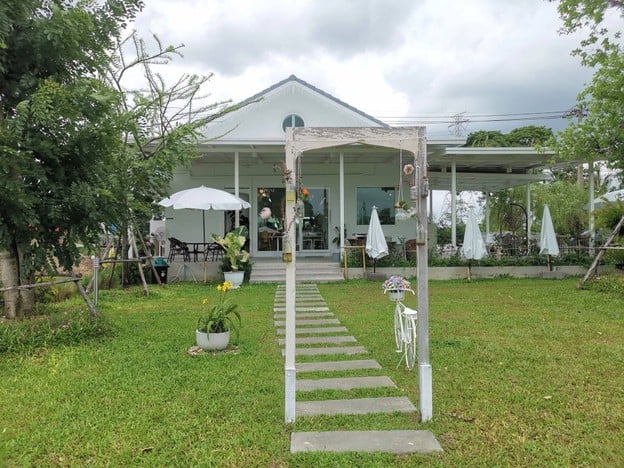 WHITE CACTUS Sai Noi