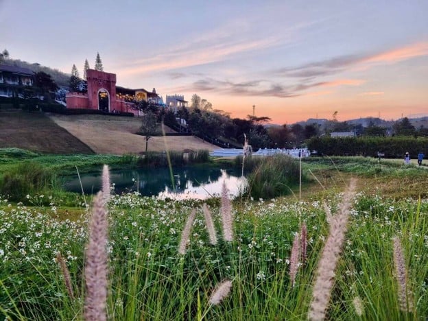 เมนูของร้าน The Blue Sky Resort เขาค้อ