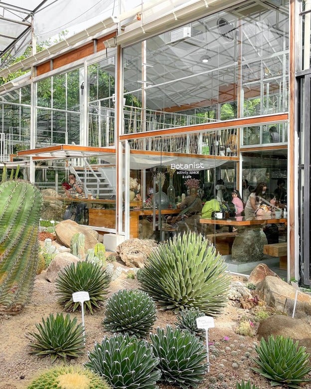 Botanist activity space & cafe