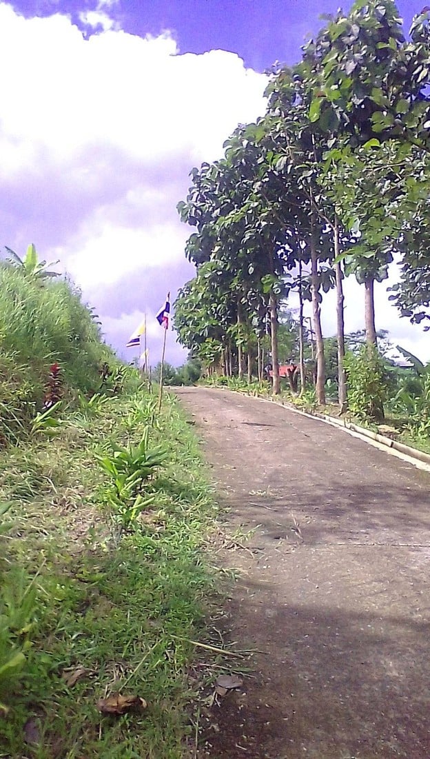 วัดใจทน