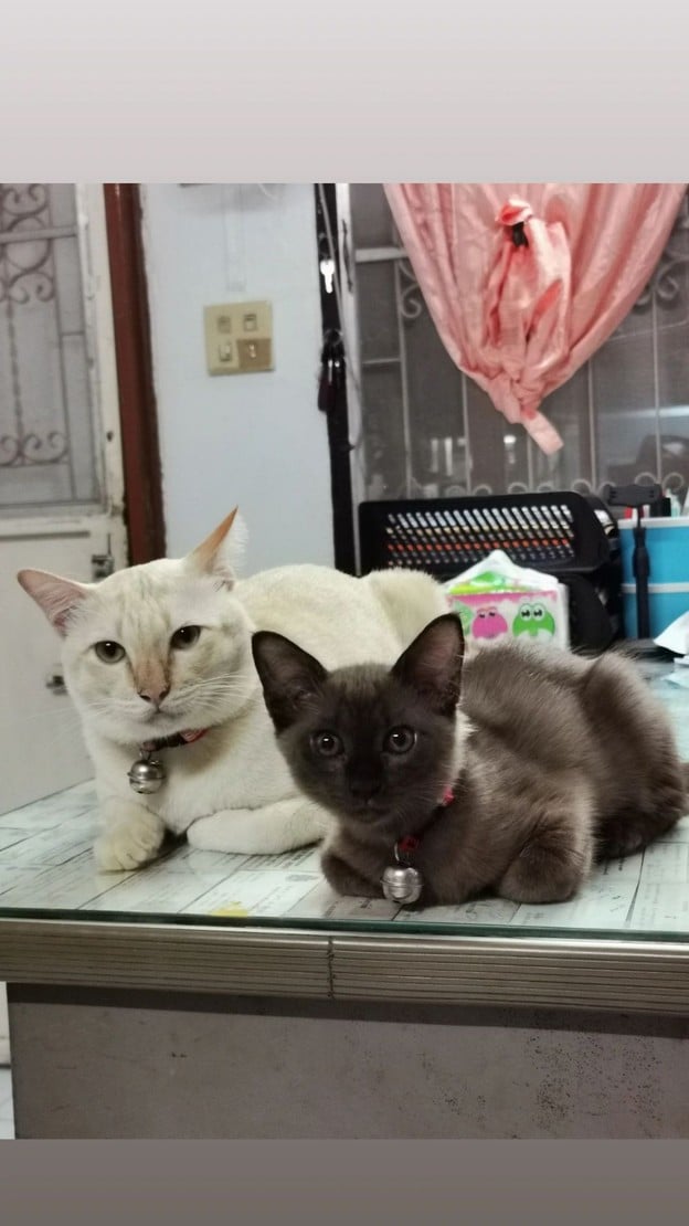 เมนูของร้าน SarangBurger