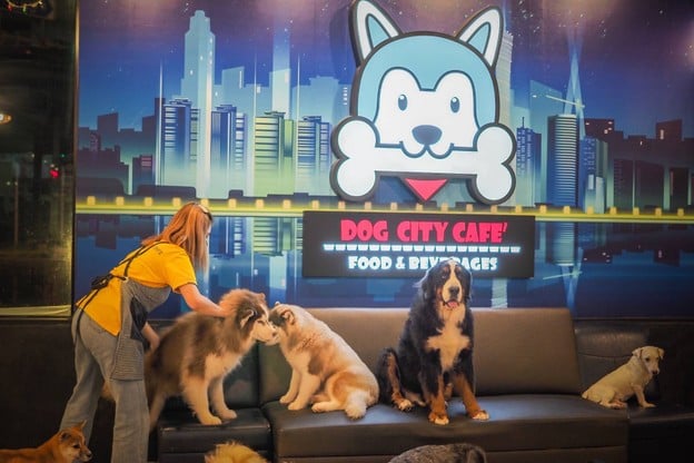 Dog City Cafe พระราม 3