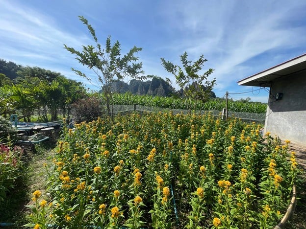 สวนดอกไม้เขาน้อย 360 องศา