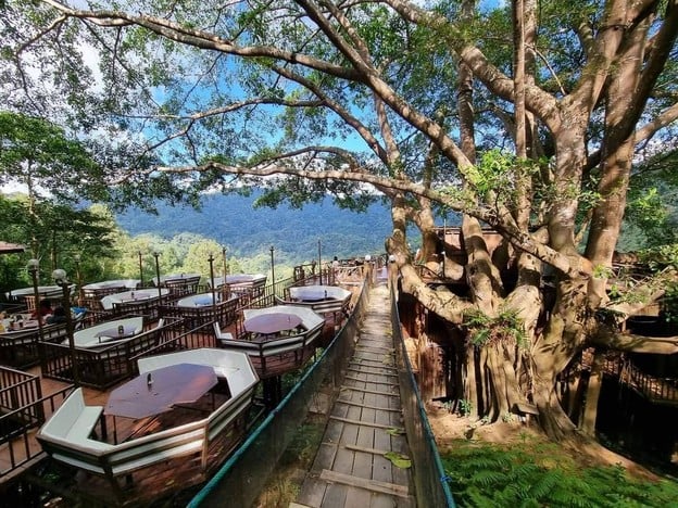 บรรยากาศ The Giant Chiang Mai Thailand