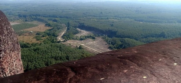 หินสามวาฬ ภูสิงห์ บึงกาฬ