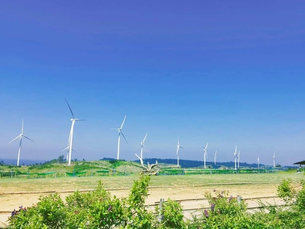 ทุ่งกังหันลม เขาค้อ