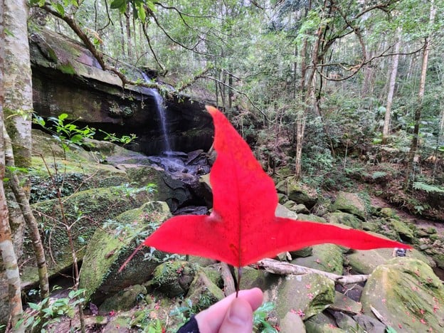 บรรยากาศ น้ำตกถ้ำใหญ่