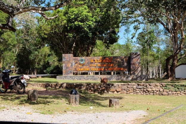 บรรยากาศ ผากล้วยไม้ (ลานกางเต็นท์ )